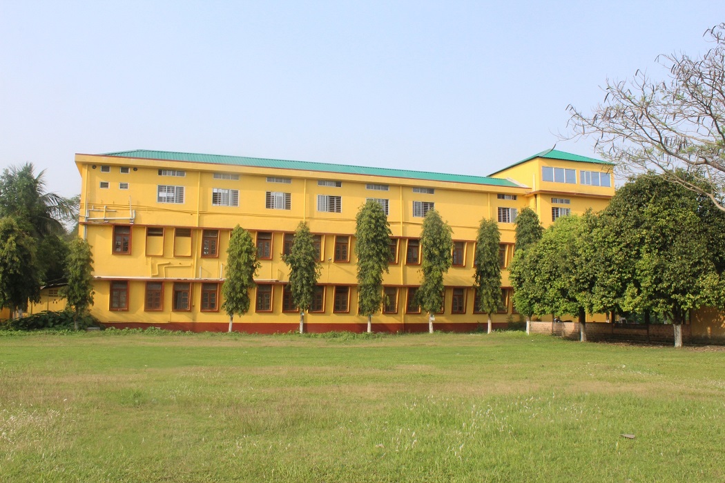 Barnagar College