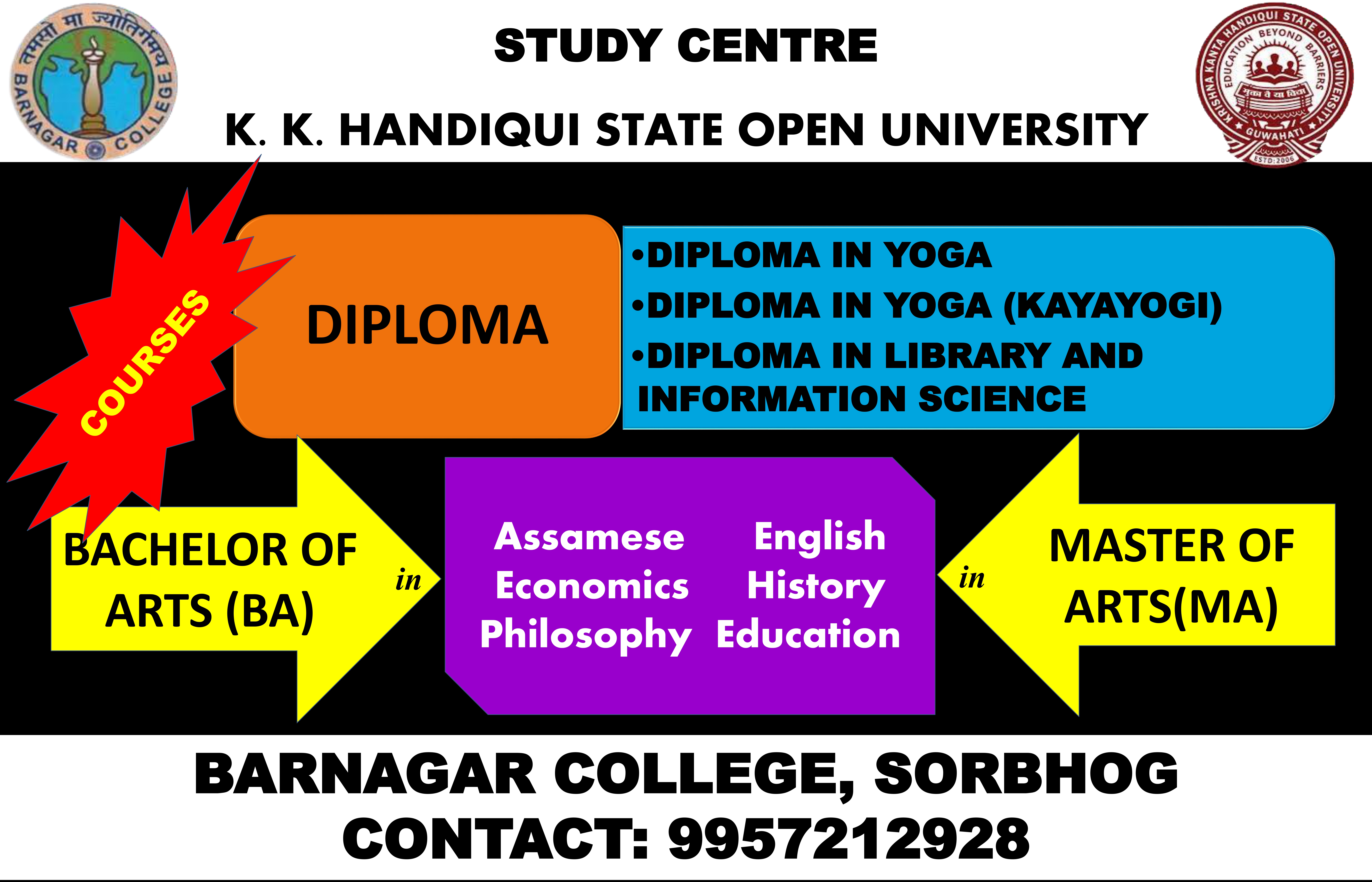 Barnagar College